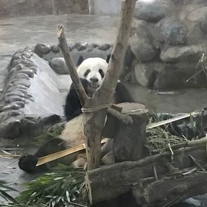 Meet your Posher, Phoenix